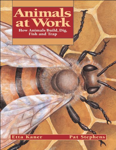 Animals at Work Cover