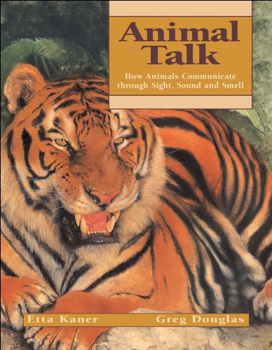 Animal Talk Cover