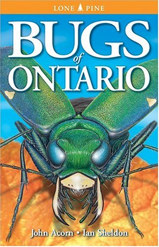 Bugs of Ontario Cover