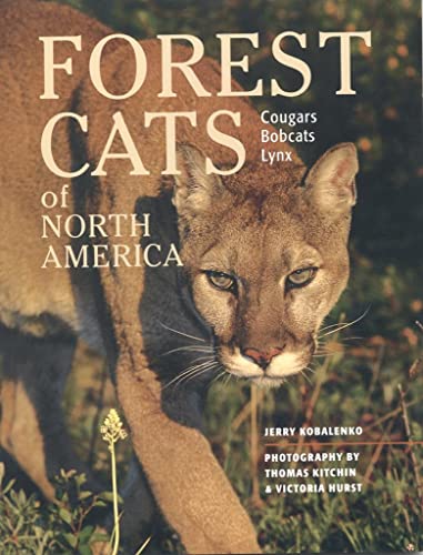 Forest cats of North America Cover