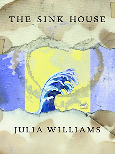 The sink house Cover