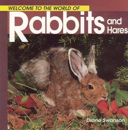 Welcome to the World of Rabbits and Hares Cover