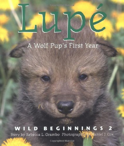 Lupe Cover