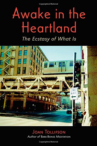 Awake in the Heartland Cover
