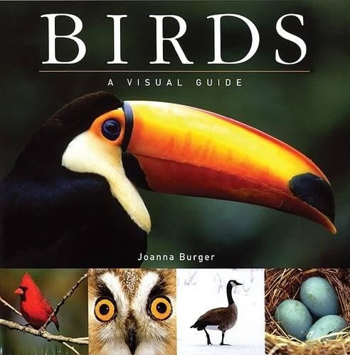 Birds Cover