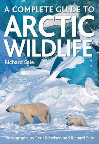 A Complete Guide to Arctic Wildlife Cover