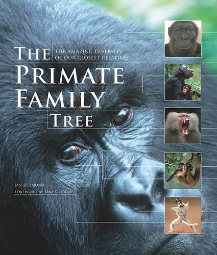 The primate family tree Cover