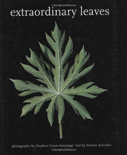 Extraordinary leaves Cover