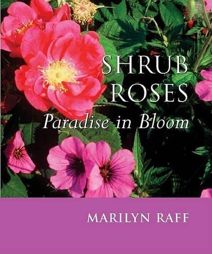 Shrub Roses Cover