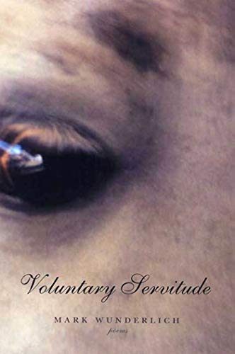 Voluntary servitude Cover