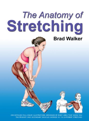 The anatomy of stretching Cover