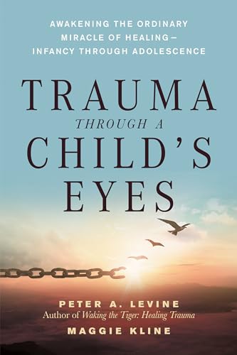 Trauma Through a Child's Eyes Cover