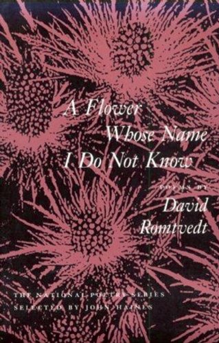 A flower whose name I do not know Cover