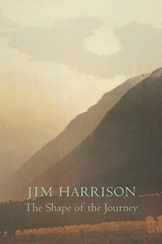 Shape of the Journey Cover