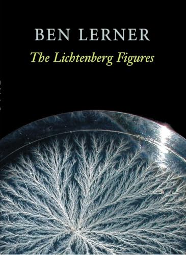 The Lichtenberg figures Cover