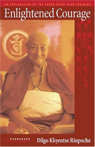 Enlightened courage Cover