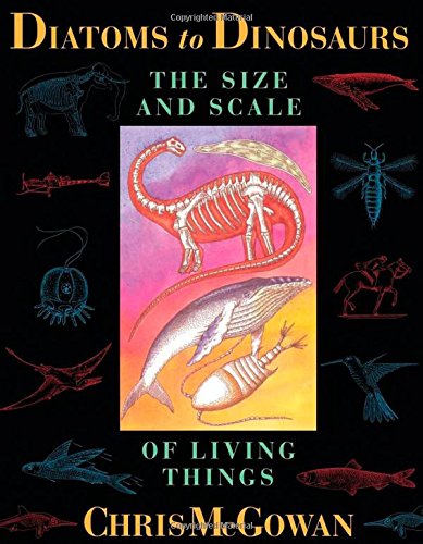 Diatoms to dinosaurs Cover