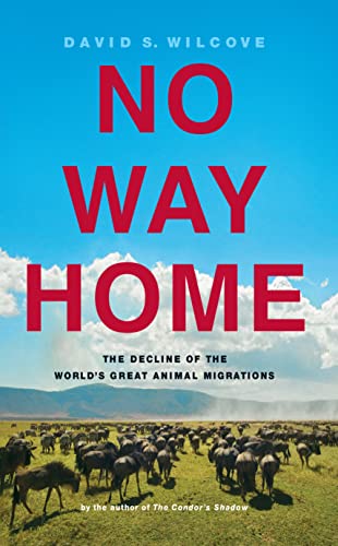No Way Home Cover