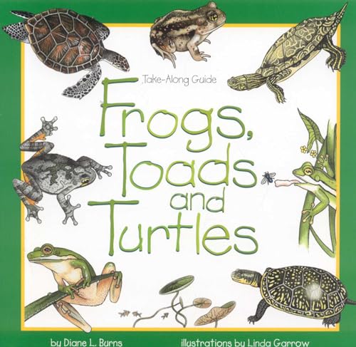 Frogs, toads, and turtles Cover
