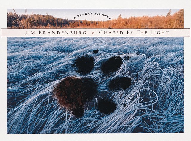 Chased by the light Cover