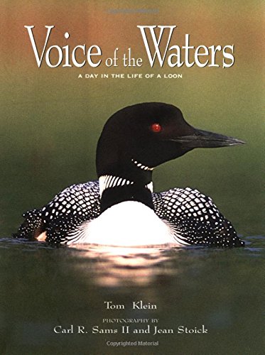 Voice of the Waters Cover