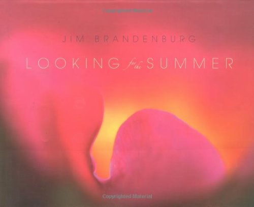 Looking for the Summer Cover