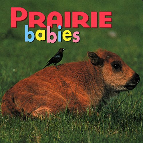 Prairie Babies Cover