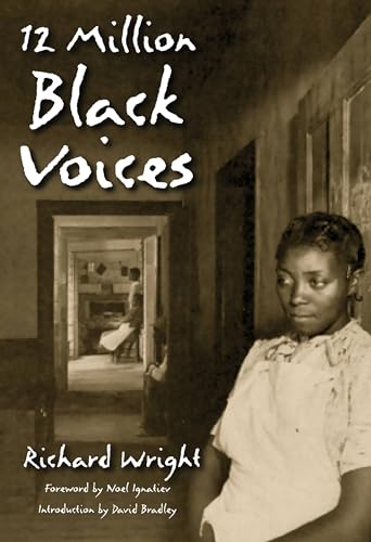 12 Million Black Voices Cover