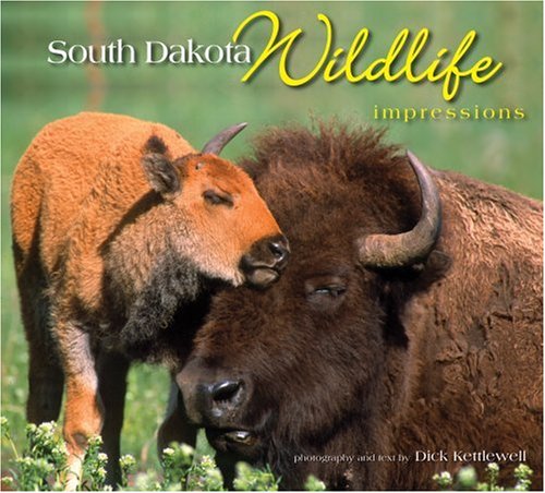 South Dakota Wildlife Impressions Cover