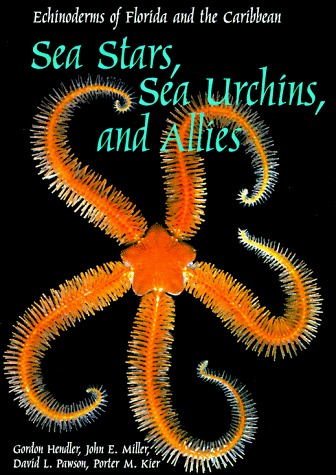 Sea stars, sea urchins, and allies Cover
