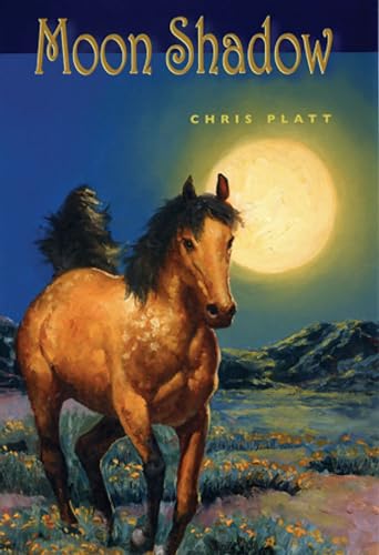 Moon Shadow Cover