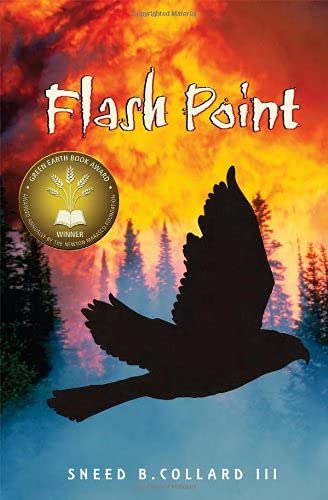 Flash Point Cover