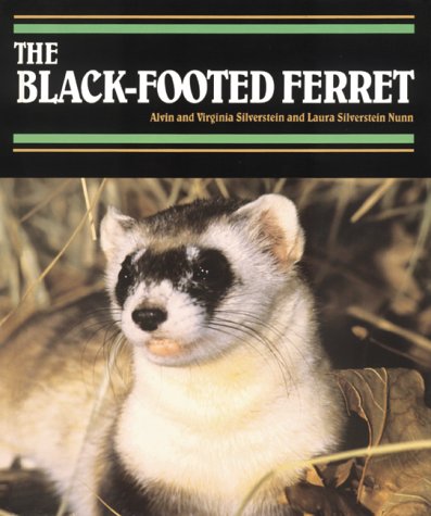 The black-footed ferret Cover