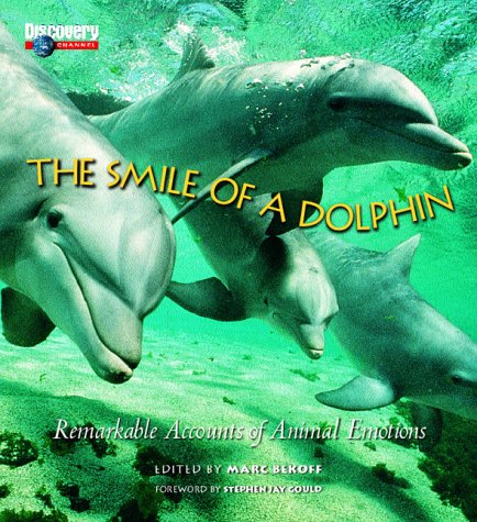 The smile of a dolphin Cover