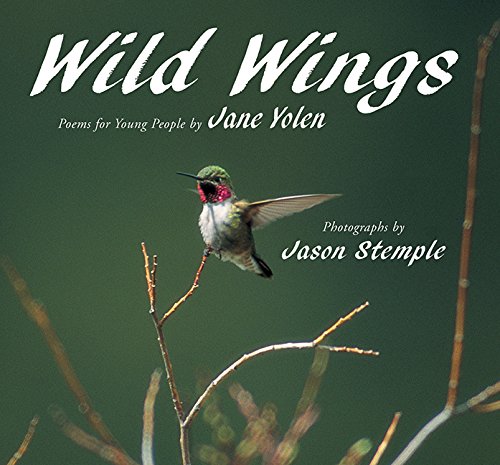 Wild wings Cover