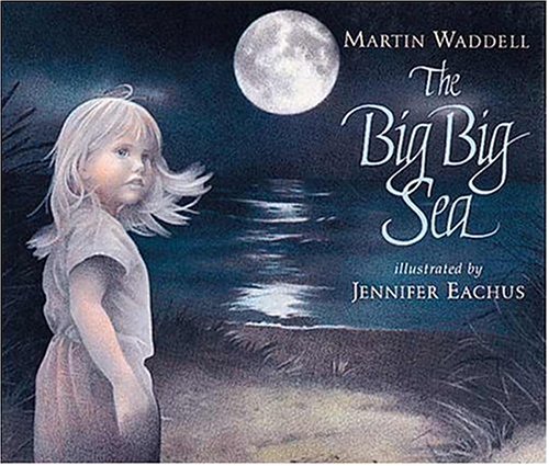 The big big sea Cover