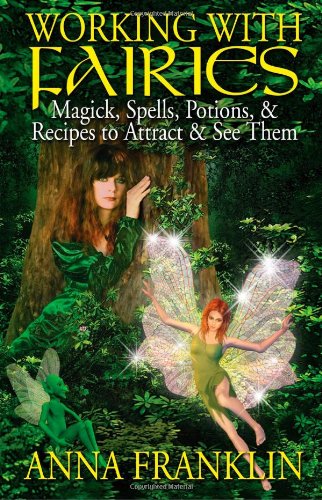 Working With Fairies Cover