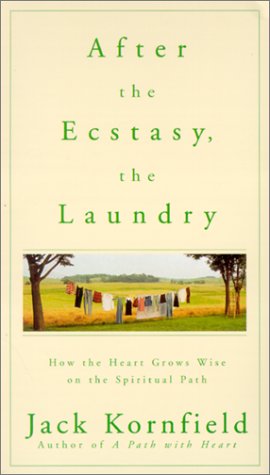 After the Ecstasy, the Laundry Cover