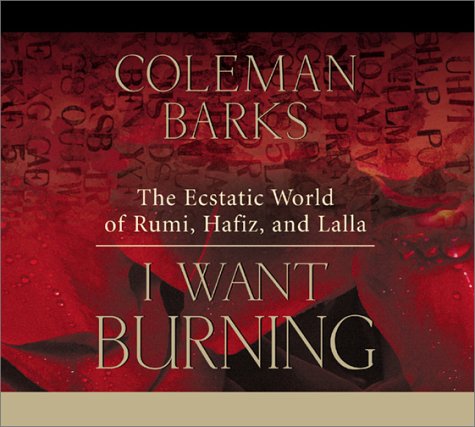 I Want Burning Cover