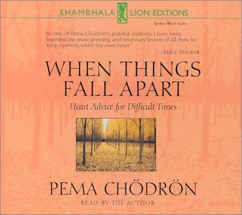 When Things Fall Apart Cover