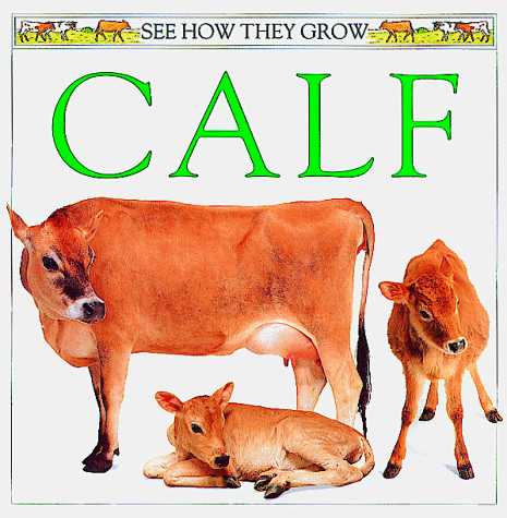 Calf Cover