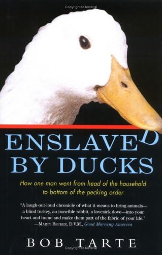 Enslaved by ducks Cover
