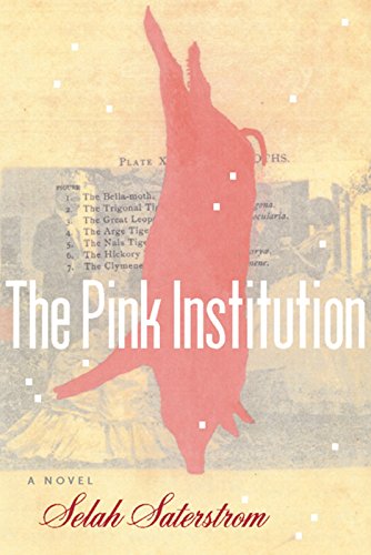 The Pink Institution Cover