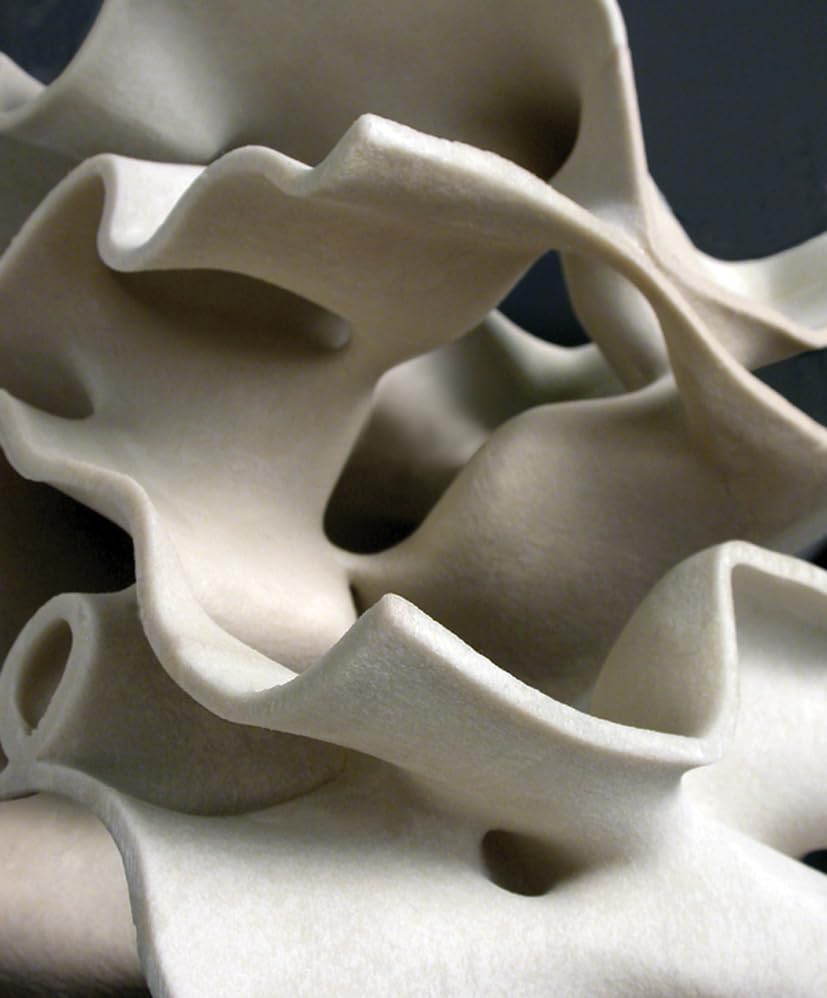 Attempted cover for Book ID: 156898734X