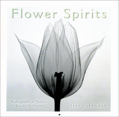 Attempted cover for Book ID: 156906444X