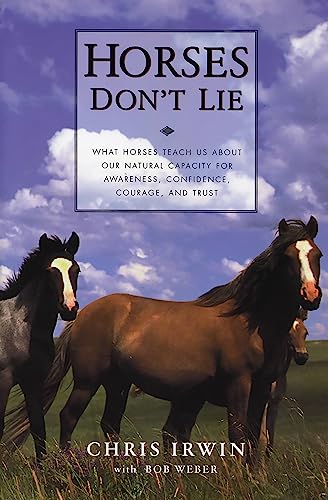 Horses Don't Lie Cover