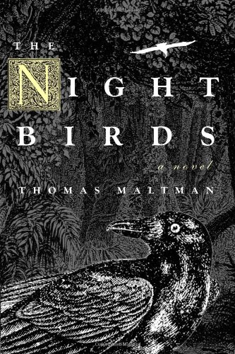 The night birds Cover
