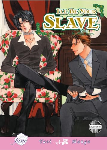 I'll Be Your Slave Cover
