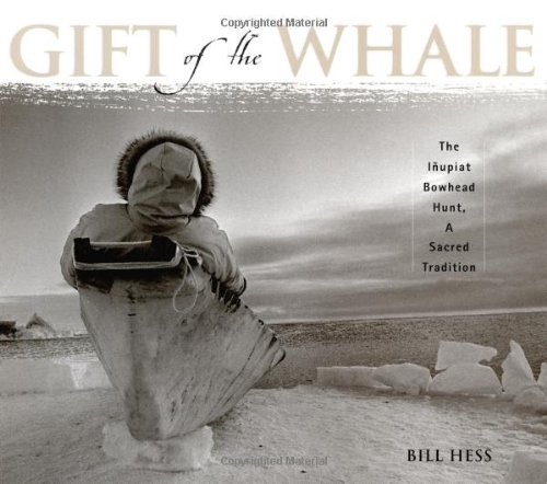 Gift of the Whale Cover