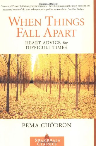 When Things Fall Apart Cover